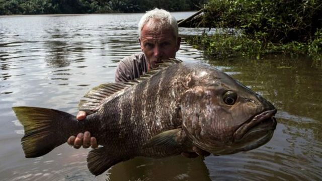 Vignette du programme télé River Monsters - Saison 9