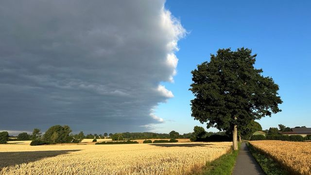 Vignette du programme télé Sécheresses et inondations, chercheurs en action