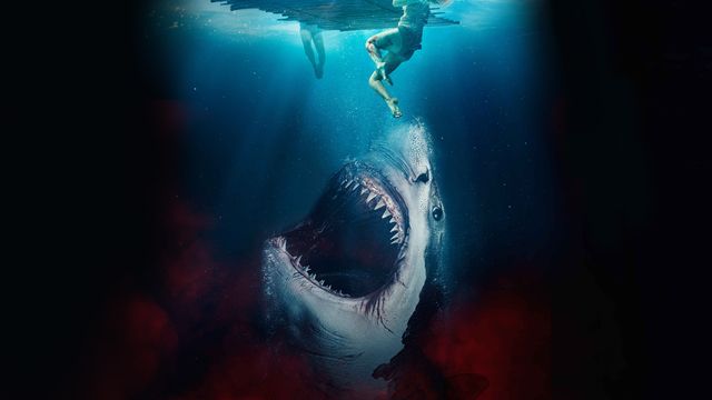 Vignette du programme télé The Requin