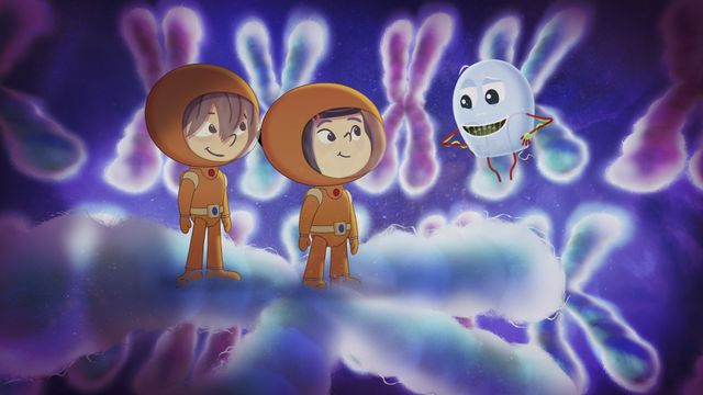 Vignette du programme télé Kididoc - Saison 1