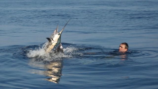 Vignette du programme télé Pêche XXL - Saison 1