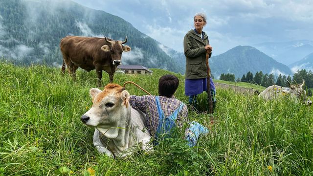 Vignette du programme télé Le Trentin : Paradis naturel de l'Italie du Nord