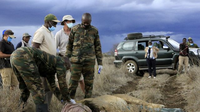 Vignette du programme télé Kenya : au rythme des pluies - Saison 1