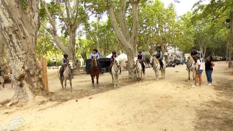 Vignette du programme télé Au galop !