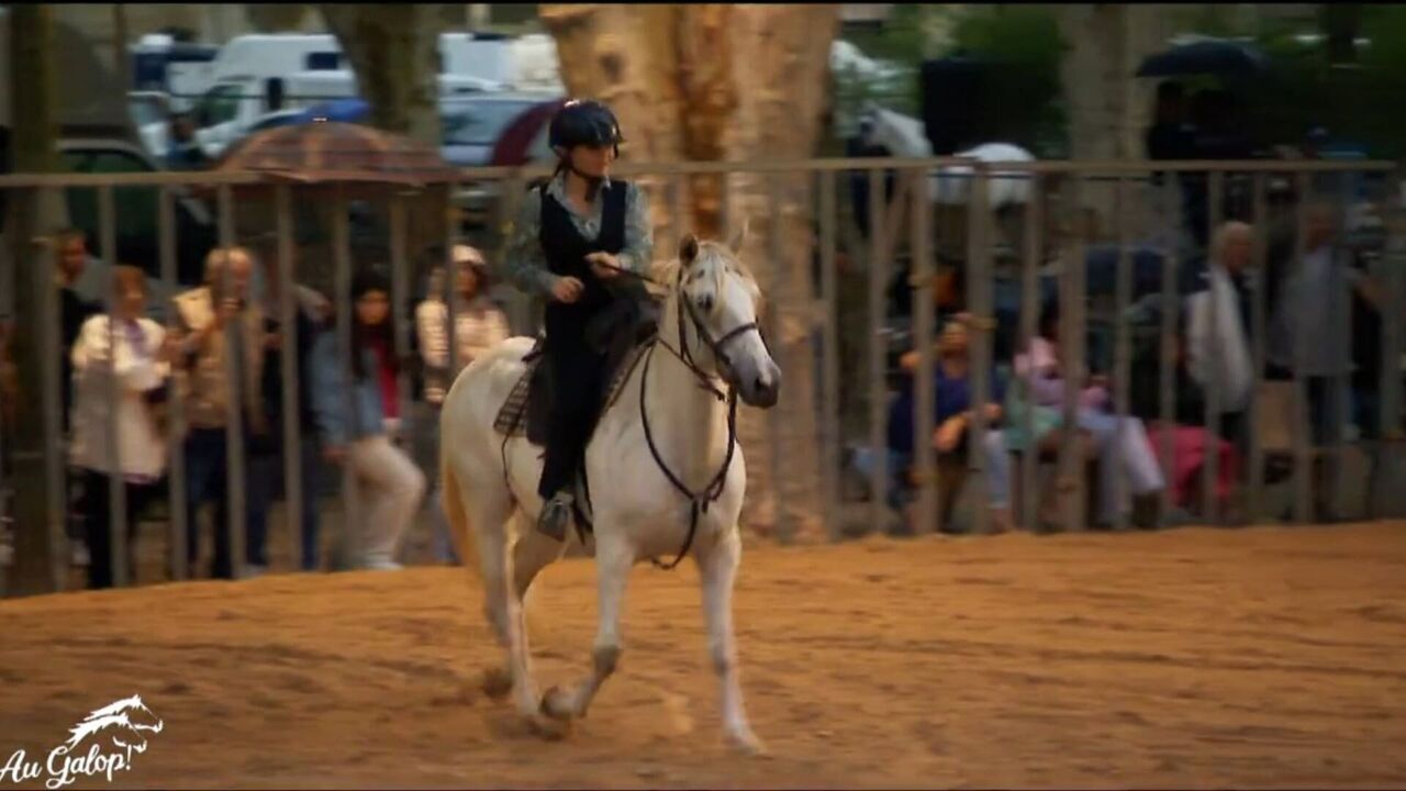 Vignette du programme télé Au galop !