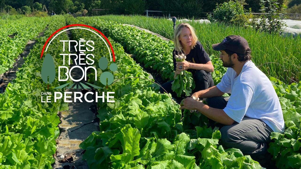 Vignette du programme télé Très très bon