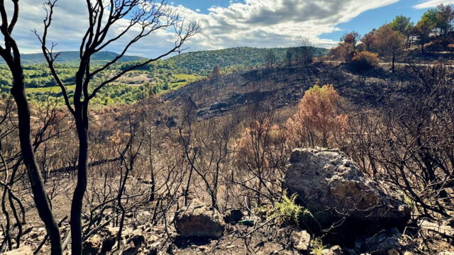 Vignette du programme télé Incendies, innover pour mieux lutter