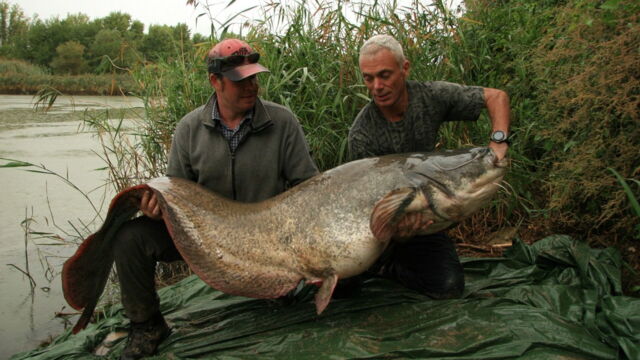 Vignette du programme télé River Monsters