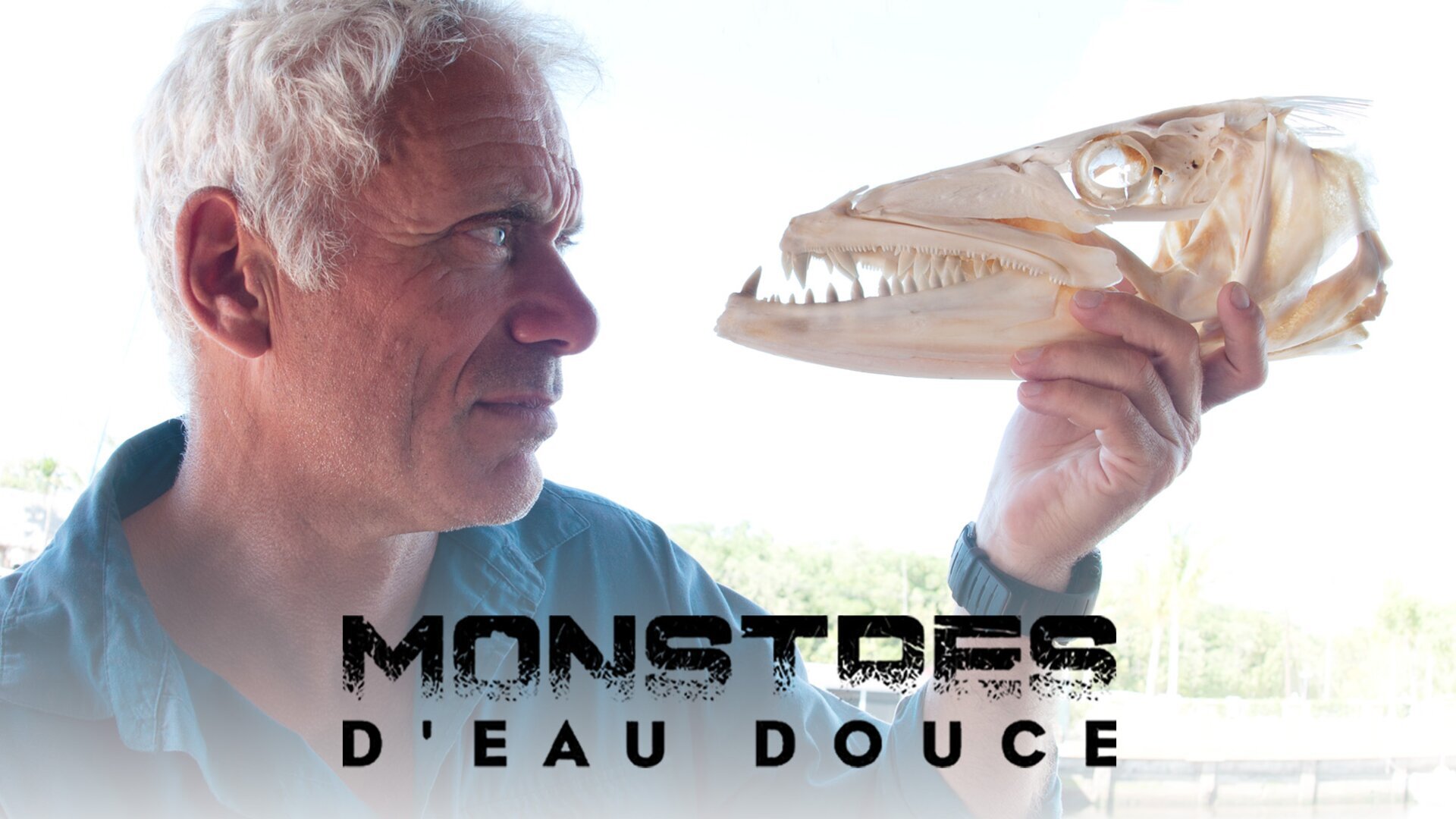 Vignette du programme télé River Monsters