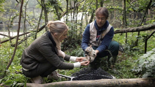 Vignette du programme télé Hélène et les animaux