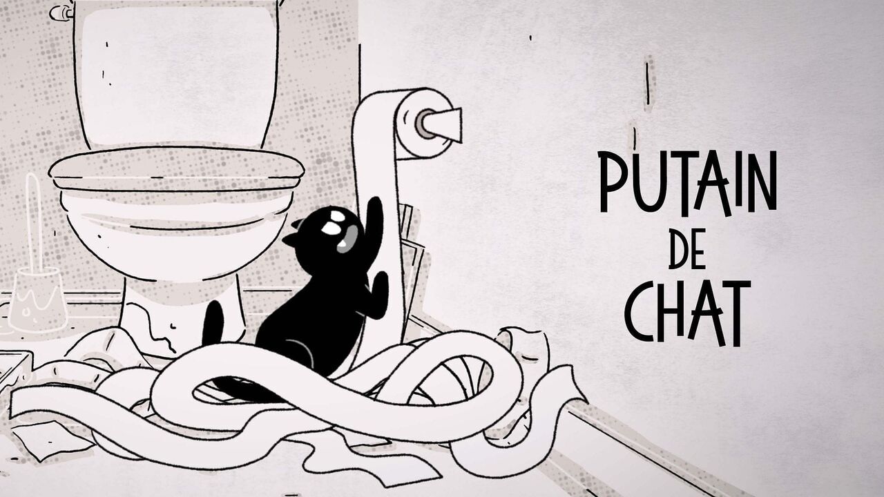 Vignette du programme télé Putain de chat !