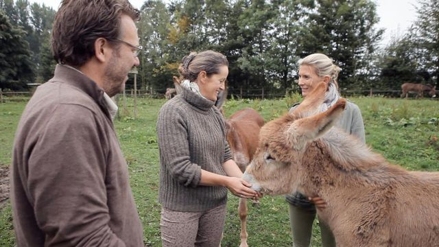 Vignette du programme télé Hélène et les animaux