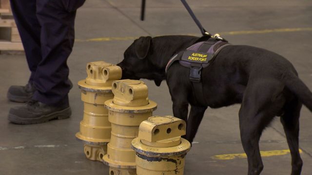 Vignette du programme télé Douanes sous haute surveillance - Saison 8