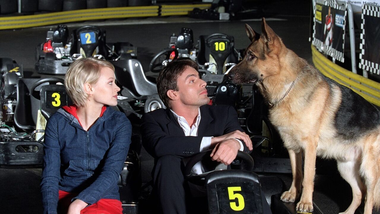 Vignette du programme télé Rex, chien flic