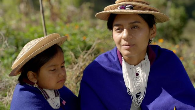 Vignette du programme télé Colombie - Saison 1