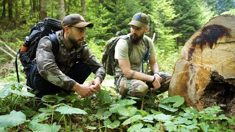 Vignette du programme télé L'enfant de la forêt