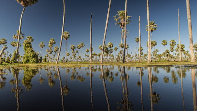 Vignette du programme télé L'Argentine sauvage