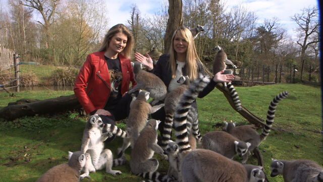 Vignette du programme télé Parc de Cerza, au plus près des animaux