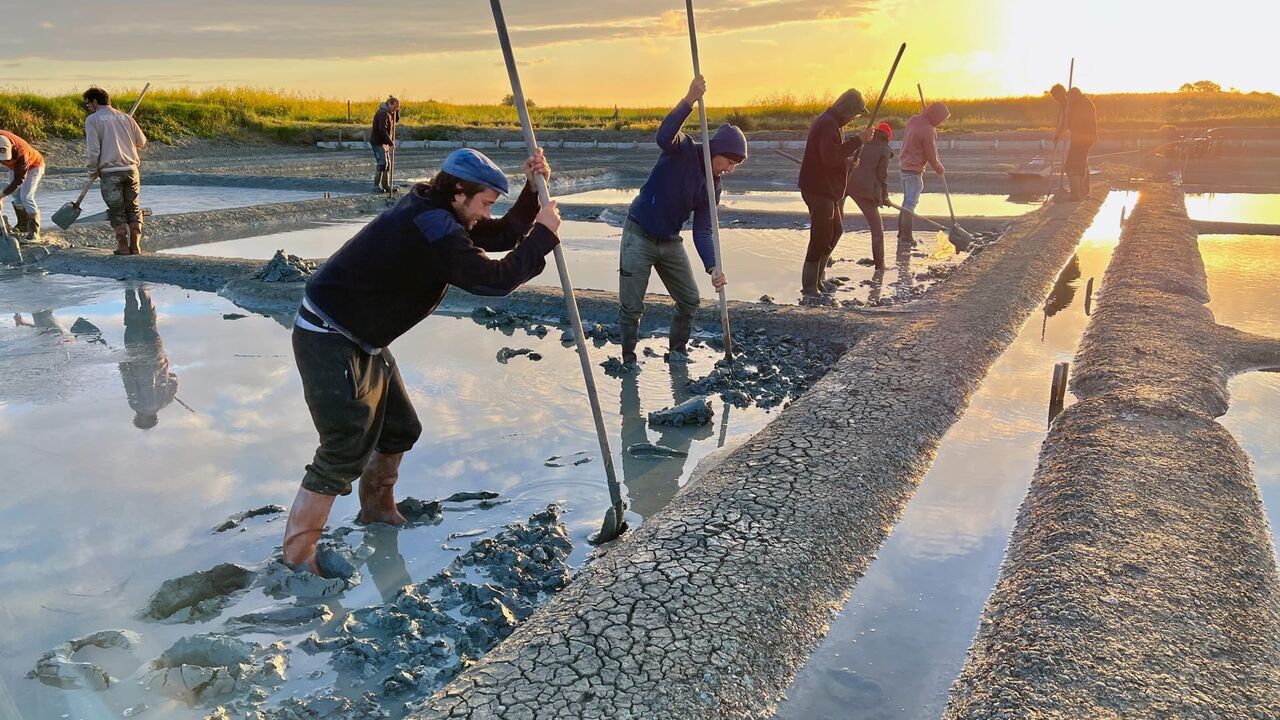 Vignette du programme télé L'or blanc de Noirmoutier