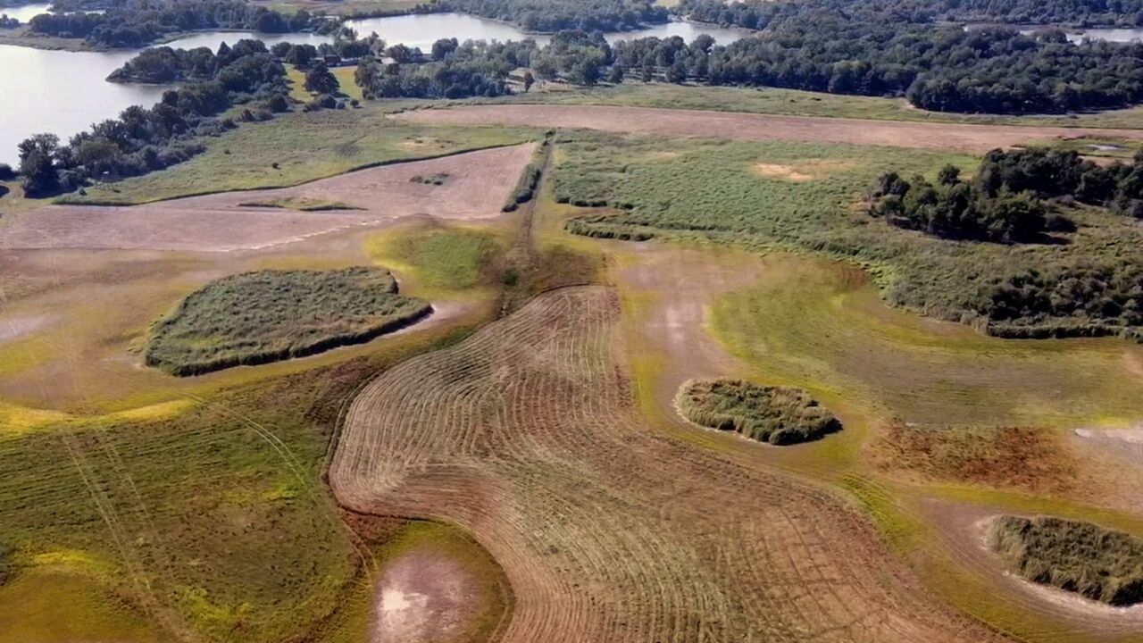 Vignette du programme télé Europe sauvage, la part de l'homme
