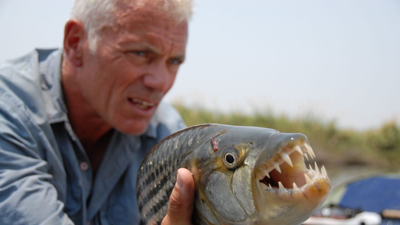 Vignette du programme télé River Monsters