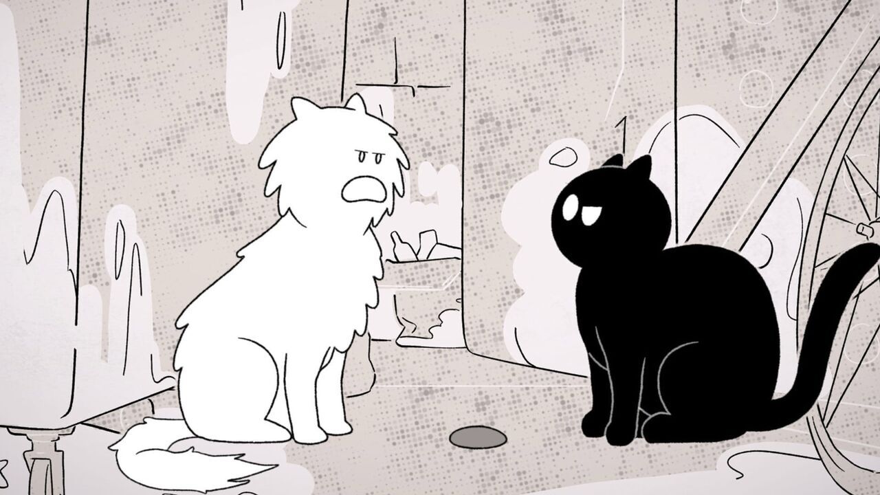 Vignette du programme télé Putain de chat !