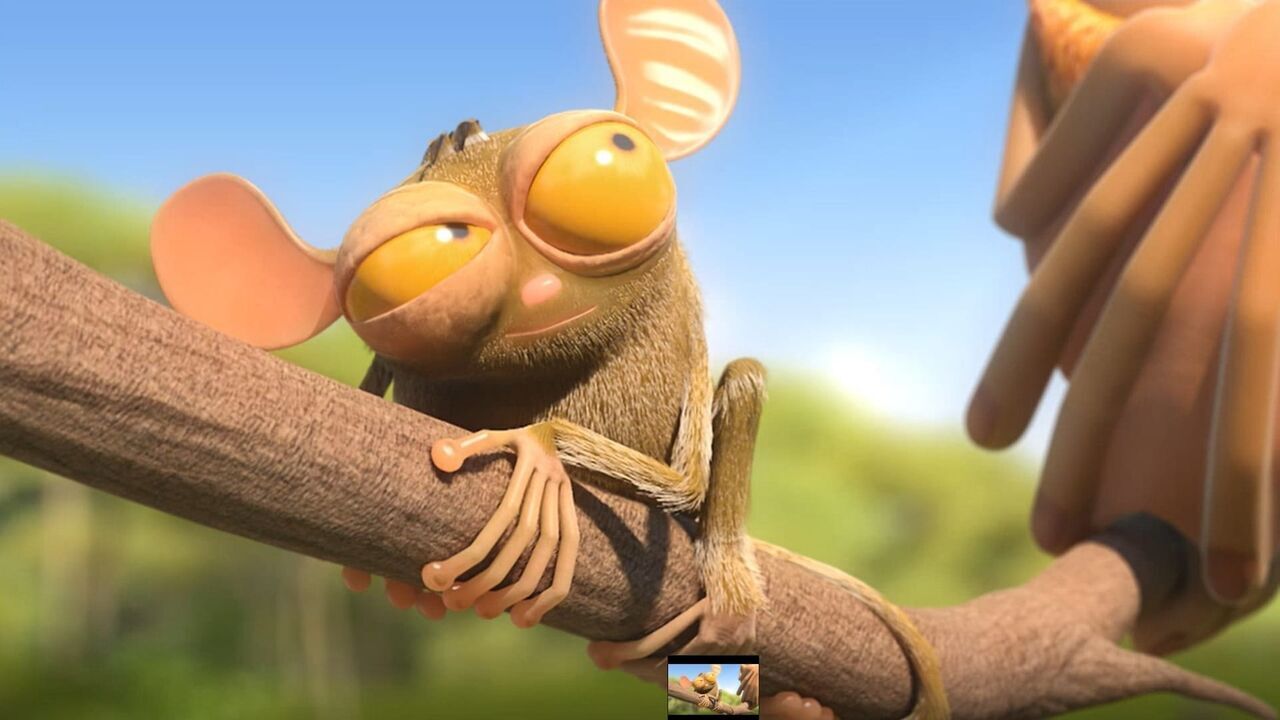 Vignette du programme télé Les as de la jungle à la rescousse