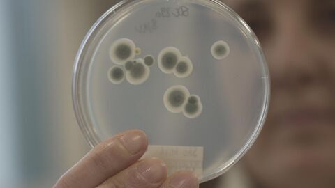 Vignette du programme télé Pollution intérieure, la menace invisible