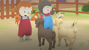 Vignette du programme télé T'choupi à la campagne (Mystère et boule de poils) S1 (43/52)