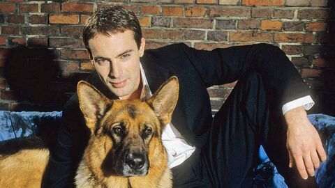 Vignette du programme télé Rex, chien flic