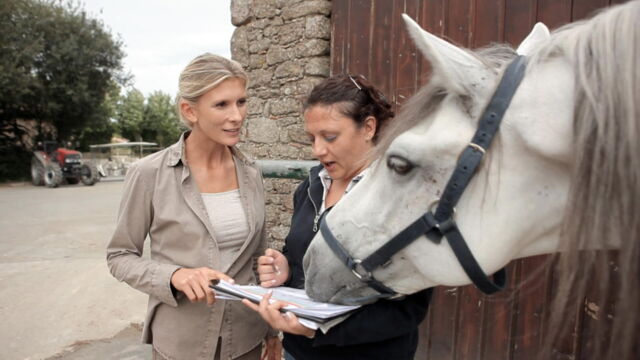 Vignette du programme télé Hélène et les animaux