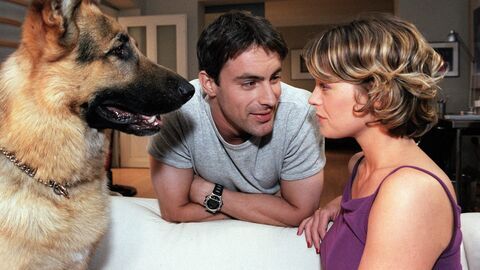 Vignette du programme télé Rex, chien flic
