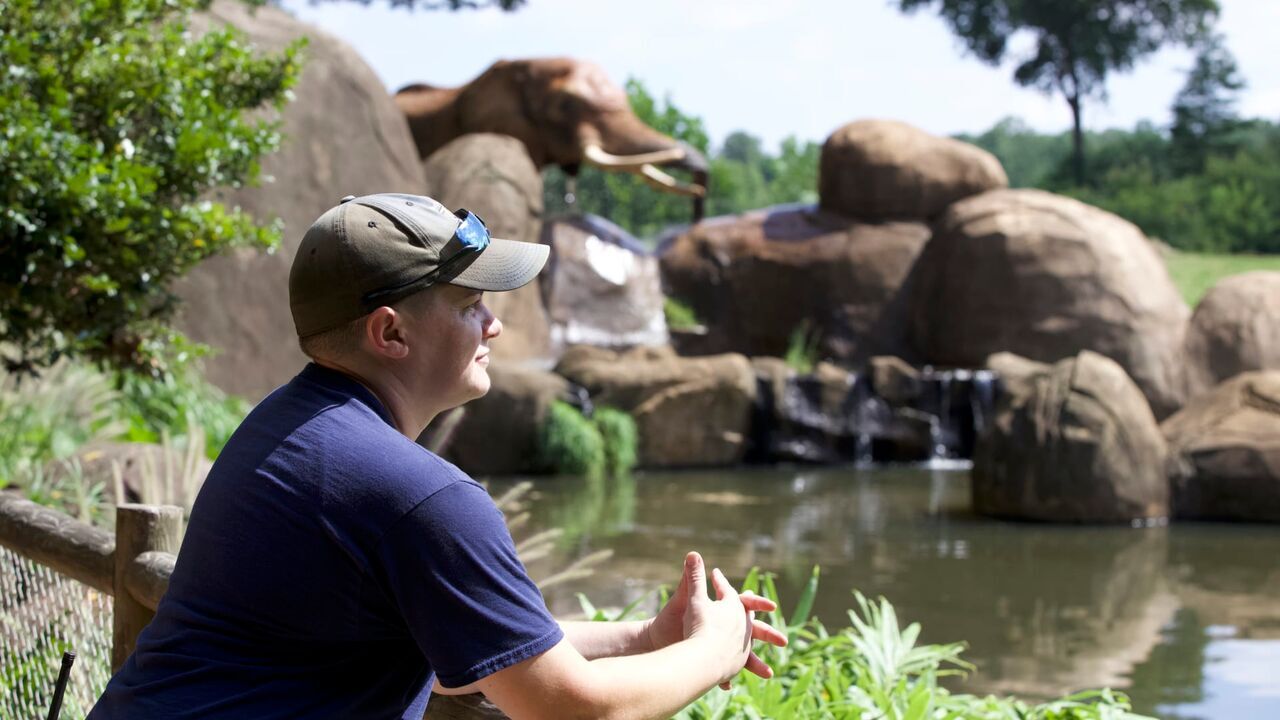 Vignette du programme télé Une saison au zoo