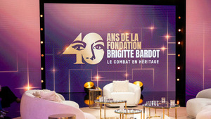 Vignette du programme télé Brigitte Bardot, le combat en héritage