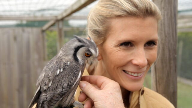 Vignette du programme télé Hélène et les animaux