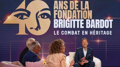 Vignette du programme télé Brigitte Bardot, le combat en héritage