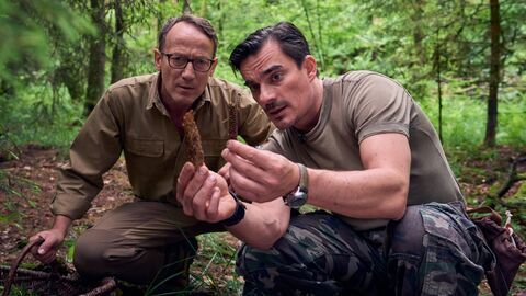 Vignette du programme télé Panique chez les Wellmann