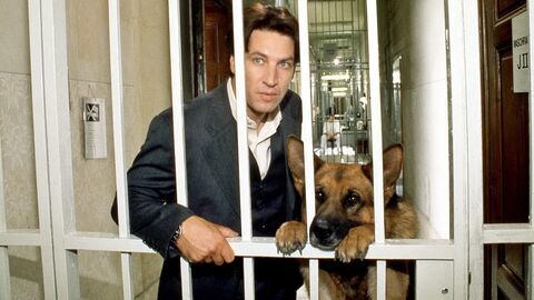 Vignette du programme télé Rex, chien flic
