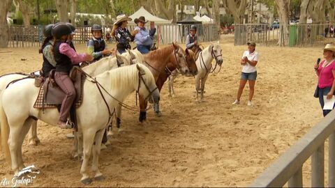Vignette du programme télé Au galop !
