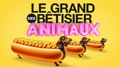 Vignette du programme télé Le grand bêtisier des animaux
