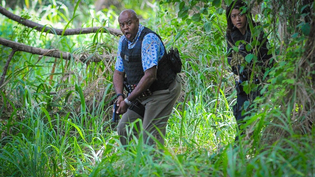 Vignette du programme télé Hawaii 5-0