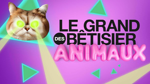 Vignette du programme télé Le grand bêtisier des animaux S1
