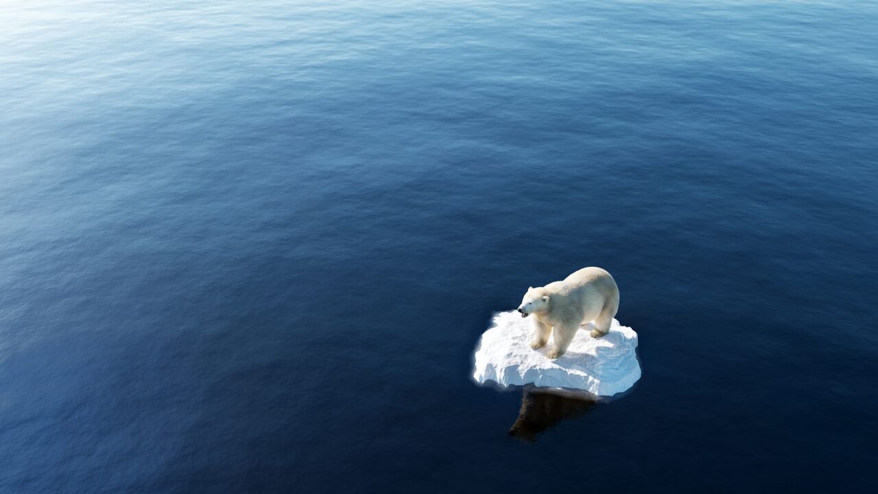 Vignette du programme télé Face au climat