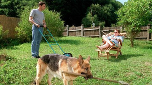 Vignette du programme télé Rex, chien flic (La romancière) S7 (7/10)