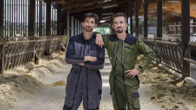 Vignette du programme télé L'amour est dans le pré