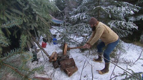 Vignette du programme télé Seuls face à l'Alaska