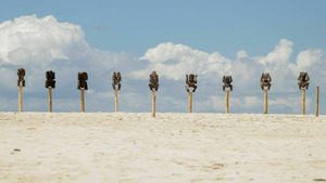 Vignette du programme télé Koh-Lanta S29