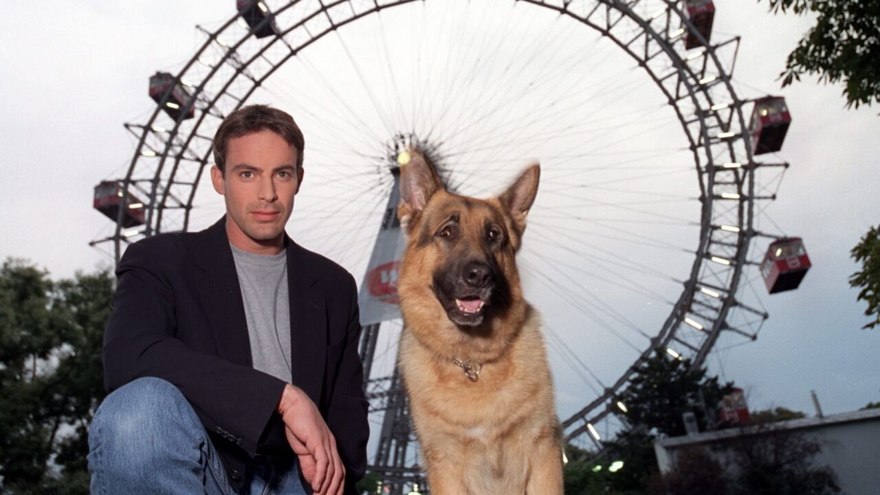 Vignette du programme télé Rex, chien flic