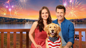 Vignette du programme télé Un chien pour deux