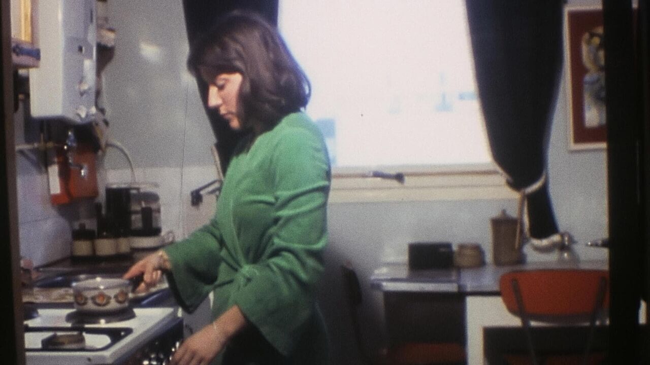 Vignette du programme télé L'histoire oubliée des femmes au foyer